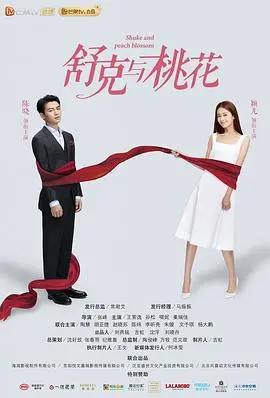 《舒克与桃花》：当不靠谱飞行员遇上恨嫁御姐，一场笑泪齐飞的都市爱情奇遇