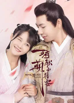 《王府软萌小刺客》：甜宠轻喜剧，看呆萌刺客如何俘获王爷心！