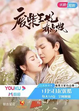 《废柴王妃有点拽》：别看我废材，撩汉技能点满！王妃逆袭记，笑到停不下来！