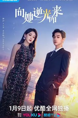 向她逆光而来 海报